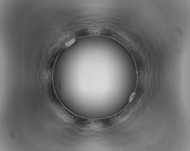 X0000111190601200907011413