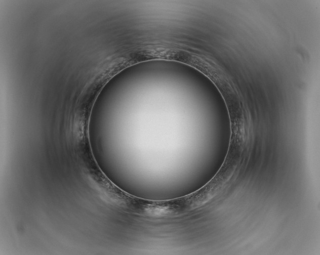 X0000111190602200907011413