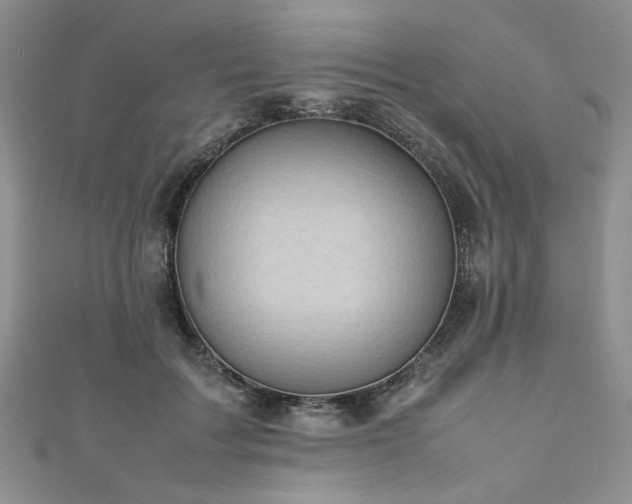 X0000111190603200907011413