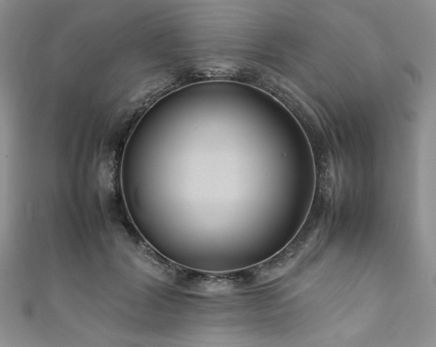 X0000111190604200907011413