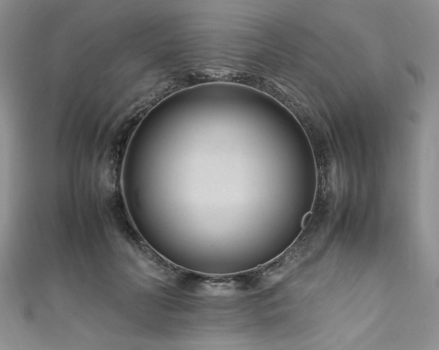 X0000111190606200907011413