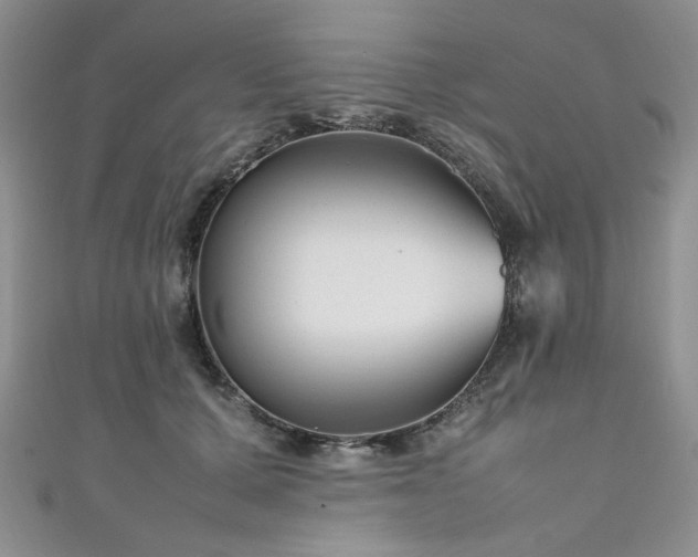 X0000111190607200907011413