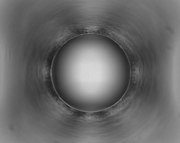 X0000111190608200907011413