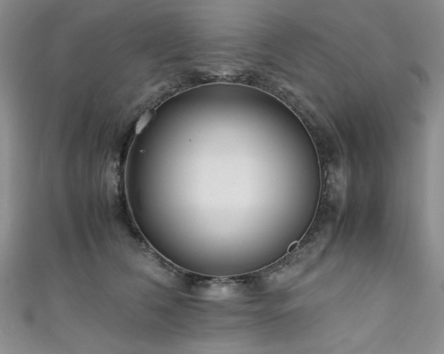 X0000111190612200907011413