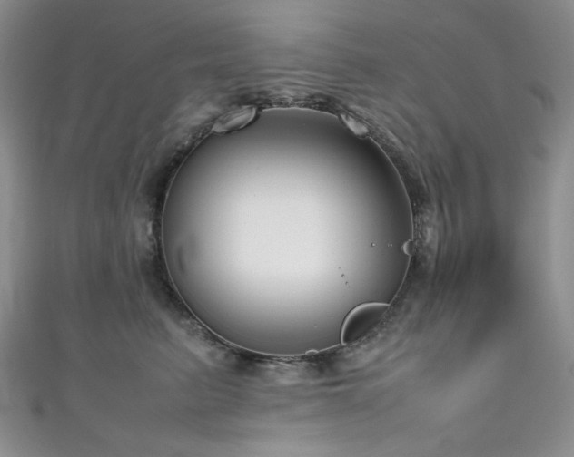 X0000111190615200907011413