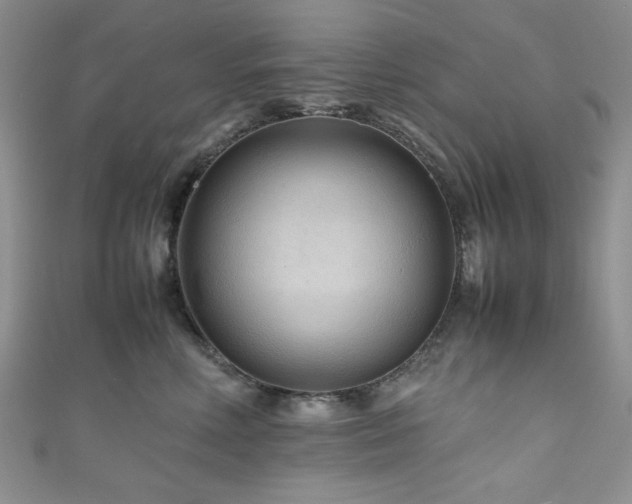 X0000111190618200907011413