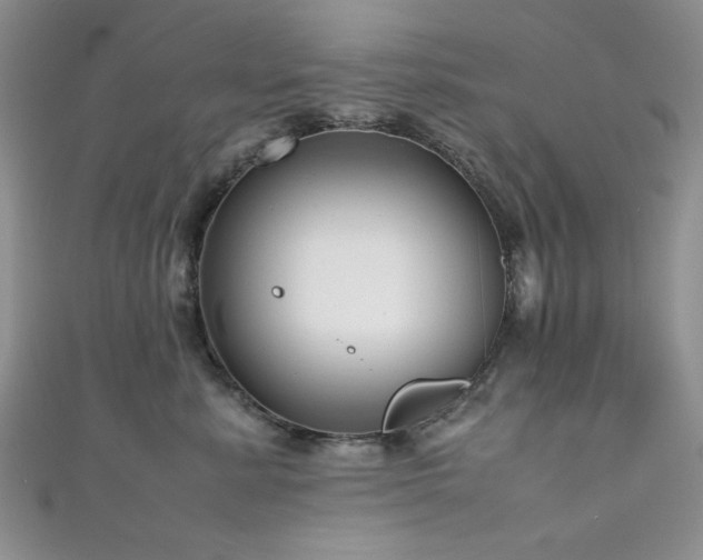 X0000111190619200907011413