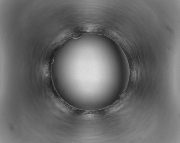 X0000111190620200907011413