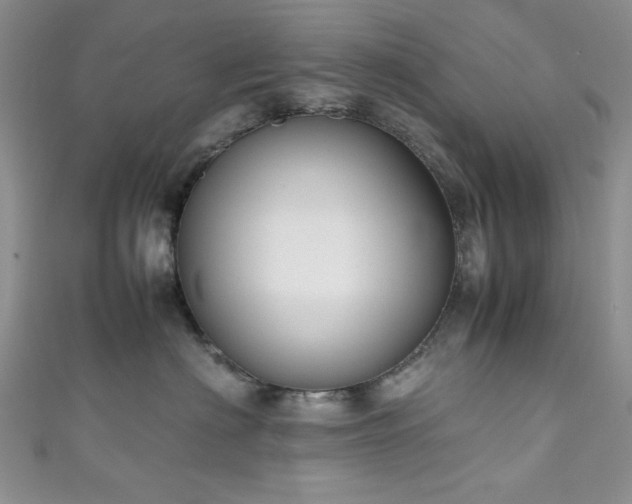 X0000111190622200907011413