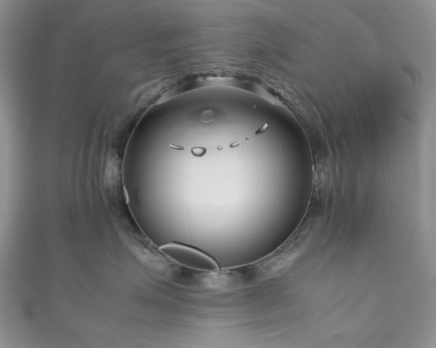 X0000111190623200907011413