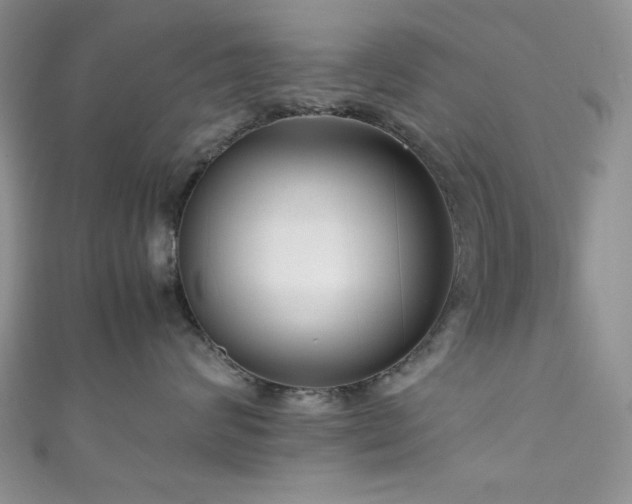 X0000111190624200907011413