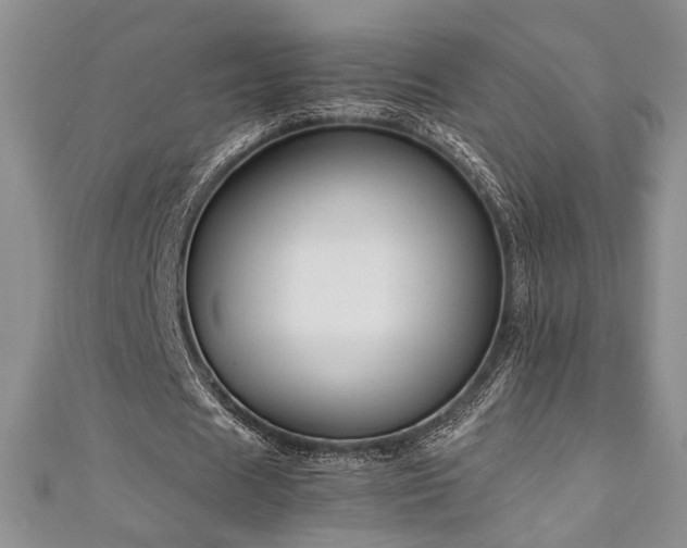 X0000111190625200907011412