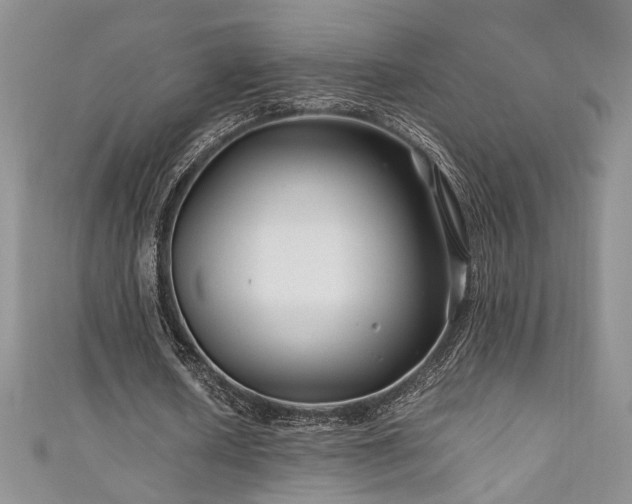 X0000111190626200907011412