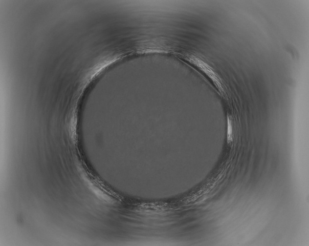 X0000111190627200907011412