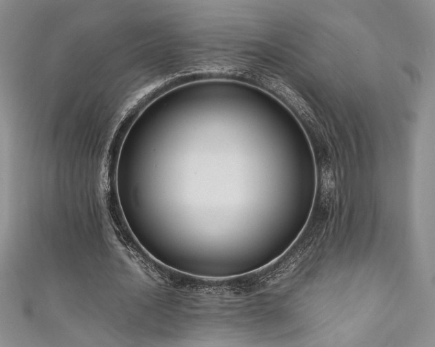 X0000111190628200907011412