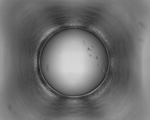 X0000111190629200907011412