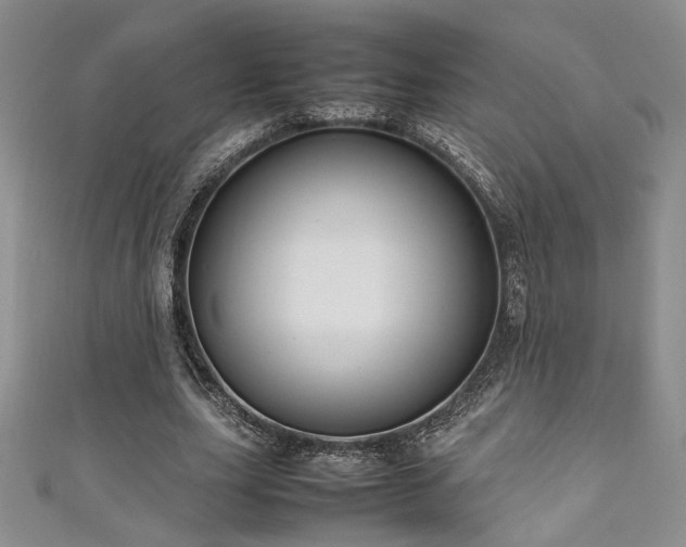 X0000111190631200907011412