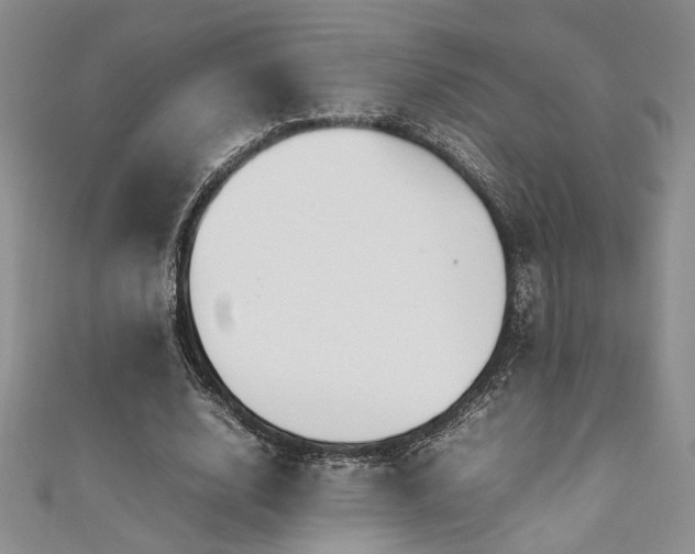 X0000111190632200907011412