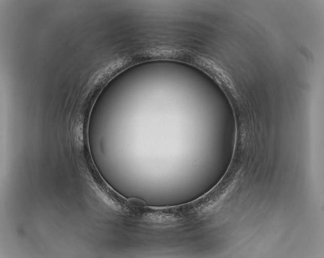 X0000111190633200907011412