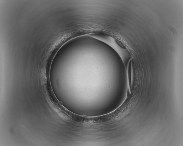 X0000111190634200907011412