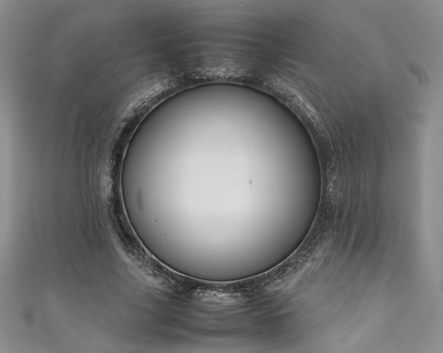 X0000111190635200907011412