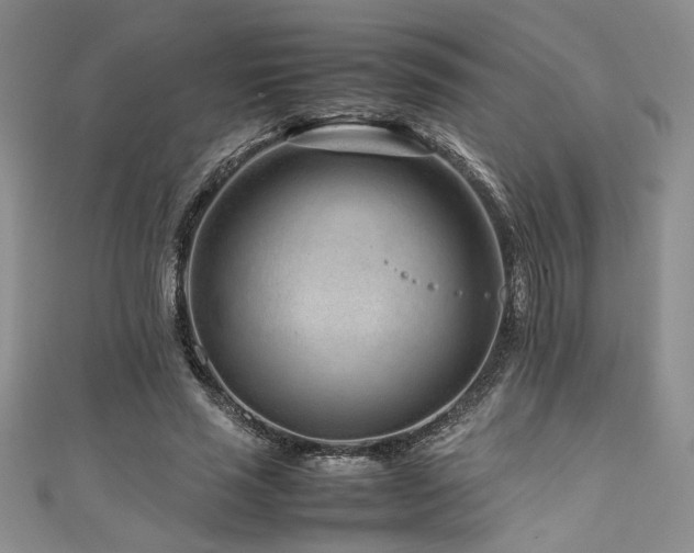 X0000111190637200907011412