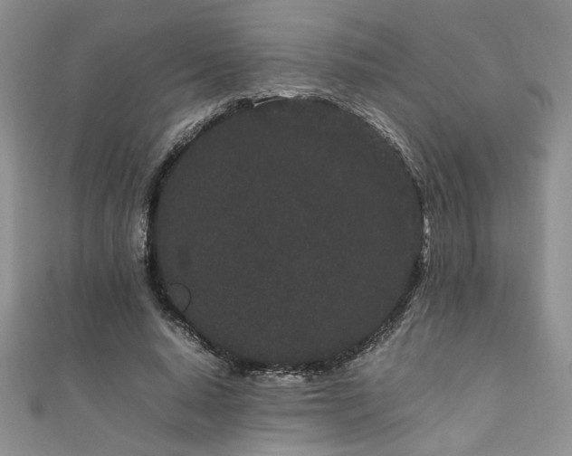 X0000111190640200907011412