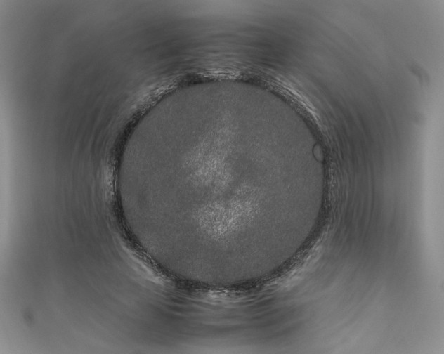 X0000111190641200907011412