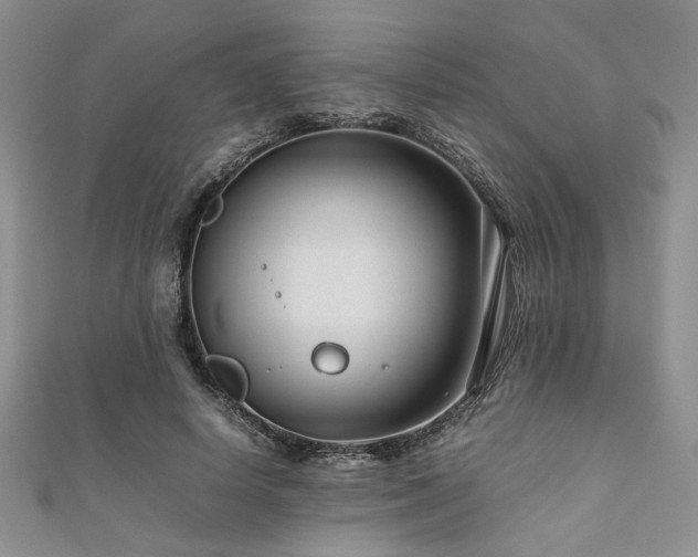 X0000111190642200907011412