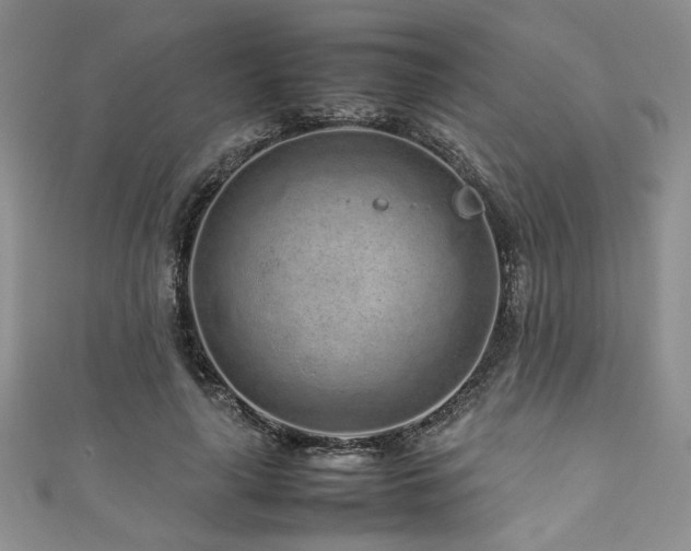 X0000111190643200907011413