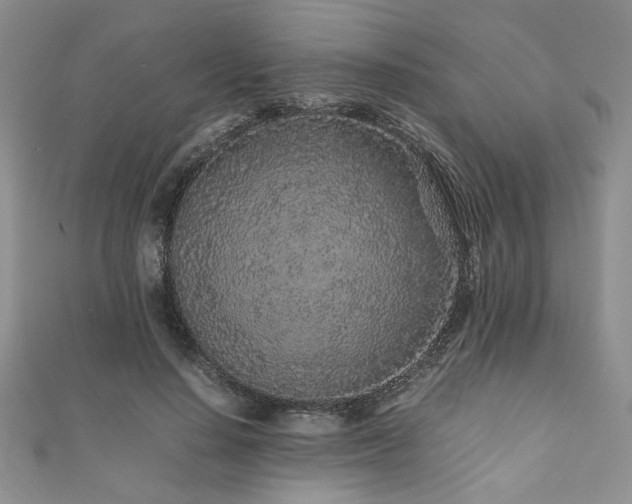 X0000111190644200907011413