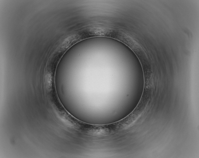 X0000111190646200907011413