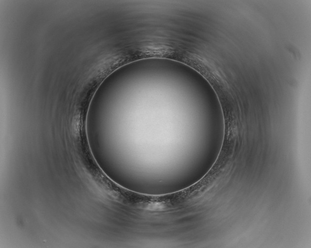 X0000111190647200907011413