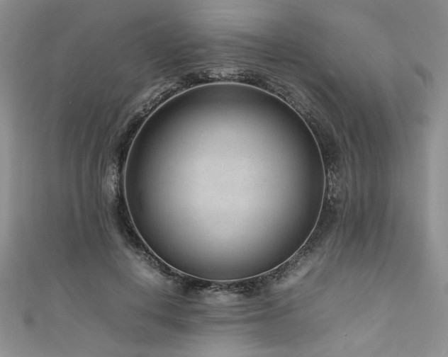 X0000111190648200907011413