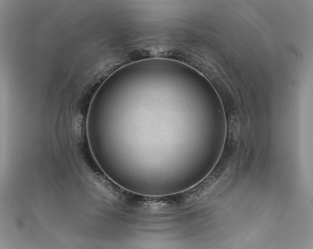 X0000111190650200907011413