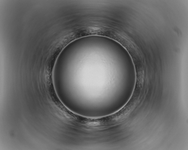 X0000111190653200907011413