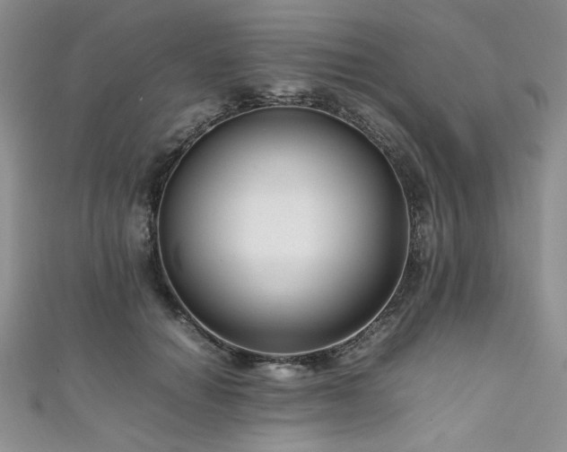 X0000111190654200907011413