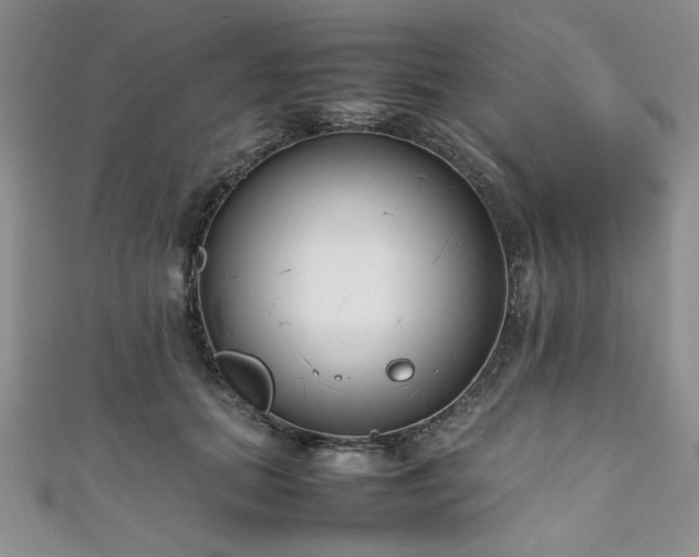 X0000111190655200907011413