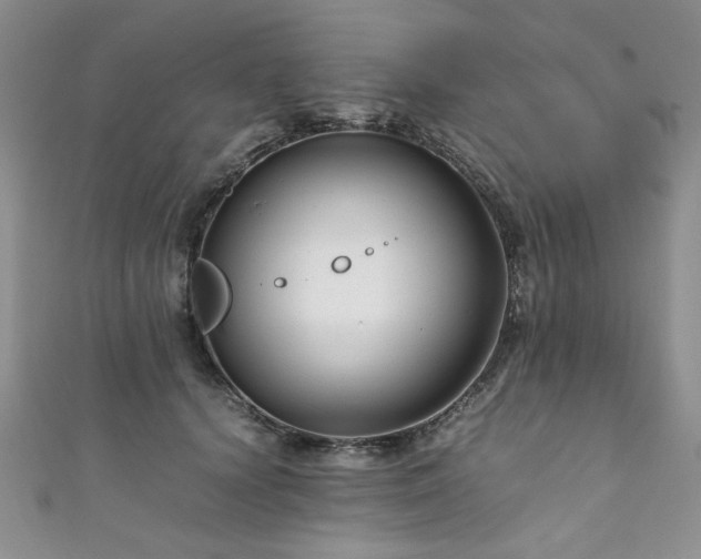 X0000111190656200907011413