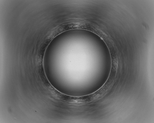 X0000111190657200907011413