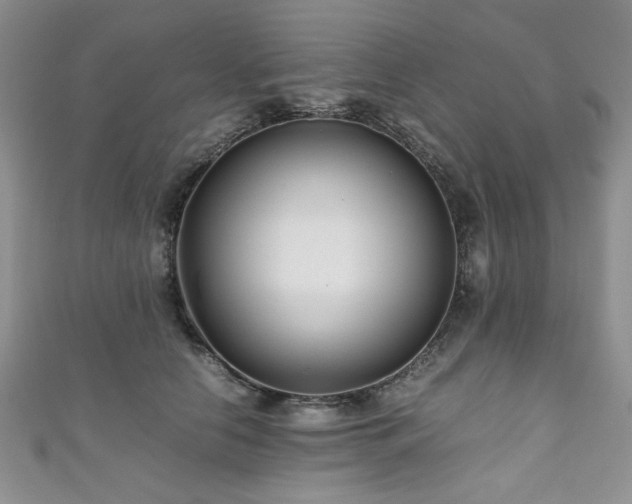 X0000111190658200907011413