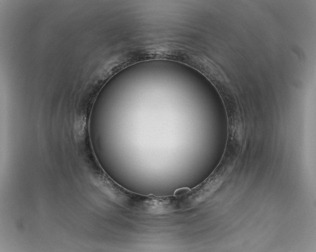 X0000111190660200907011413