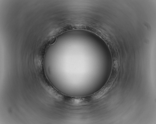 X0000111190662200907011413