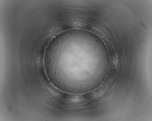 X0000111190663200907011413