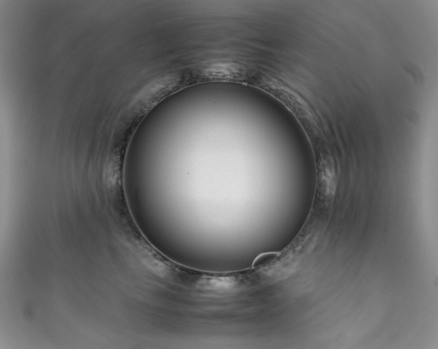 X0000111190665200907011413