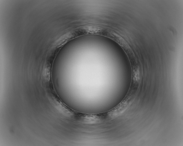 X0000111190666200907011413