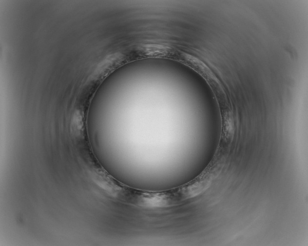 X0000111190667200907011413