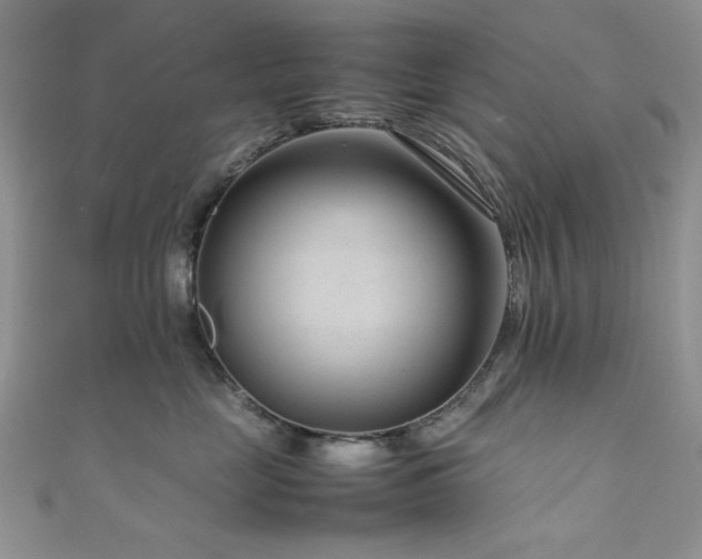 X0000111190669200907011413