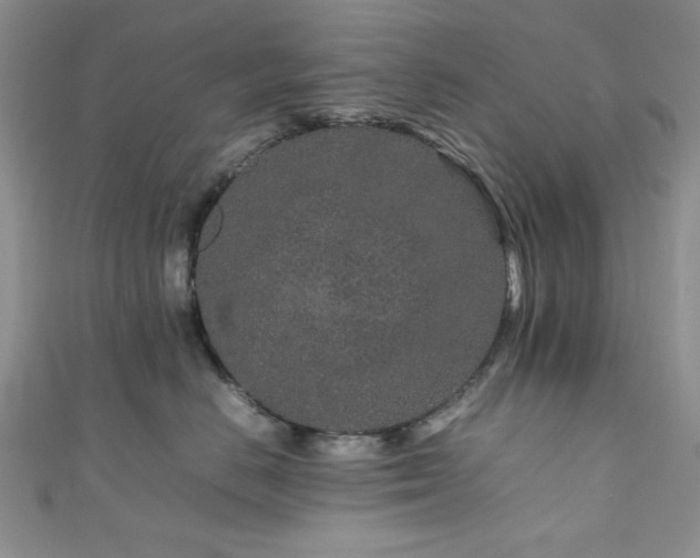 X0000111190670200907011413