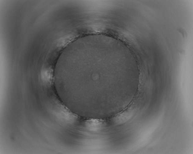 X0000111190672200907011413